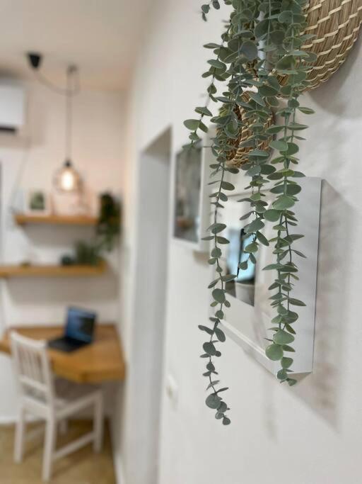 Tko'A #2 Apartment Йерусалим Екстериор снимка